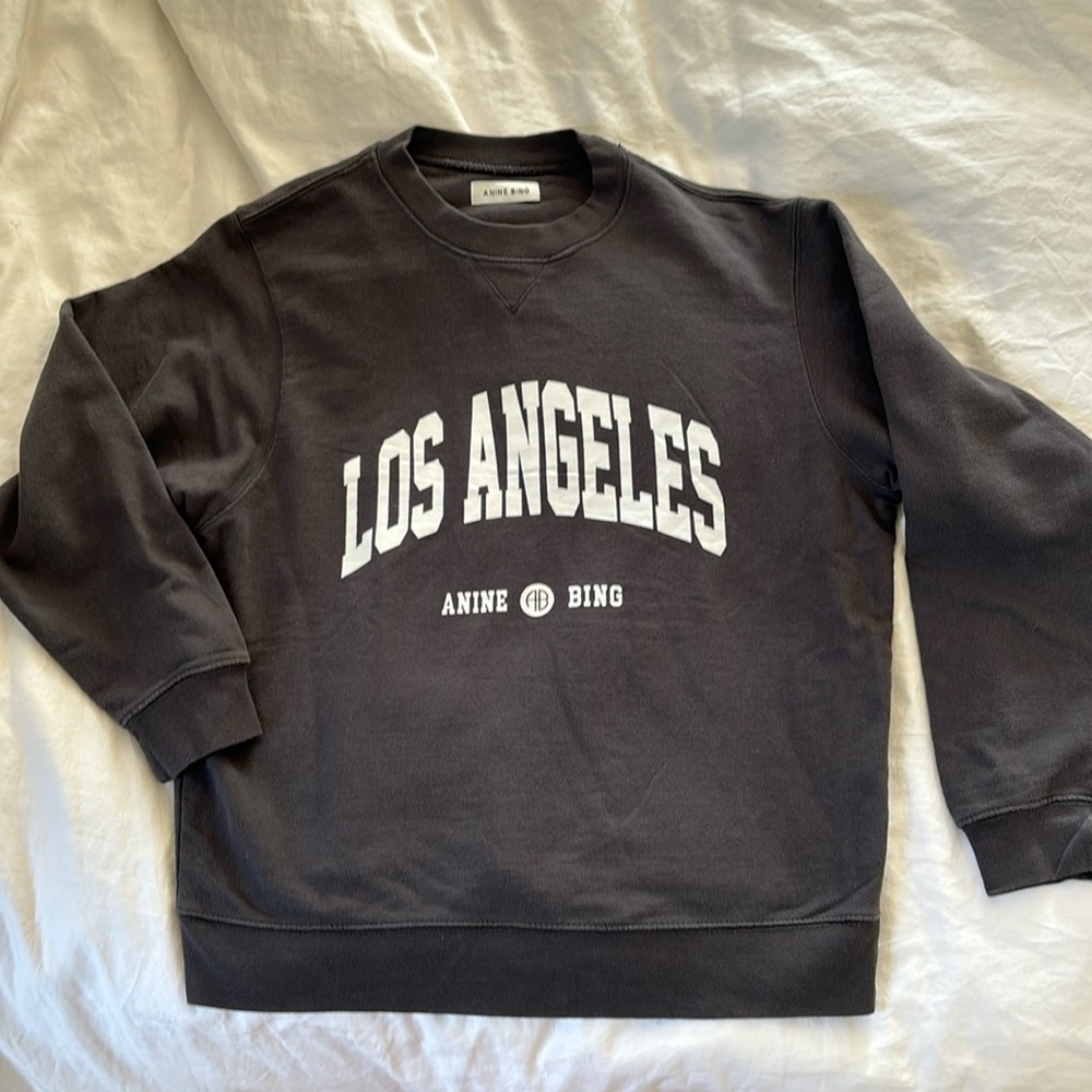 Anine Bing LA sweatshirt